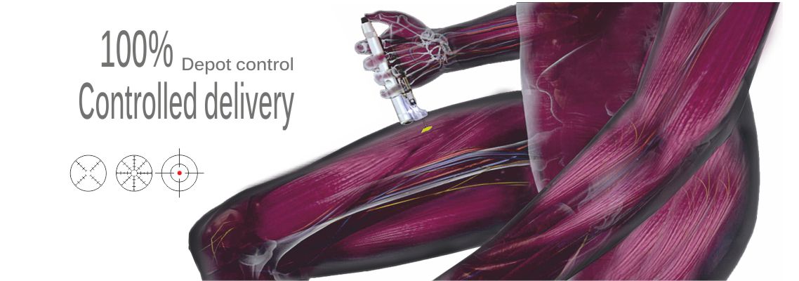 intramuscular injections 90 degrees, depot control, controlled delivery